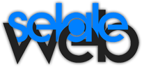 Bodrum Web Tasarım – ŞelaleWEB